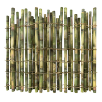 Bamboo fence with a transparent background png