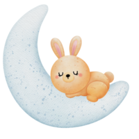 mignonne peu lapin sommeil sur lune aquarelle main tiré illustration png