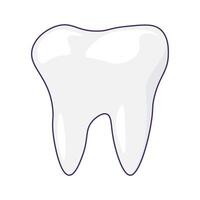 Healthy Undamaged Tooth Icon Baby Molar vector