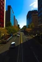 A cherry street at Yasukuni avenue in Tokyo wide shot photo