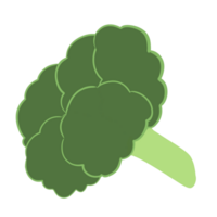 broccoli icon on transparent background png