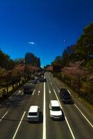 A cherry street at Yasukuni avenue in Tokyo wide shot photo