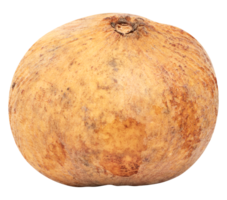 Santol Obst oder Baumwolle Obst png