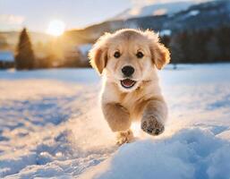 juguetón bebé dorado perdiguero perrito corriendo mediante el nieve foto