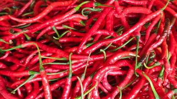 Fresh red chilies photo