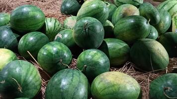 Watermelon that is ripe and ready to sell photo