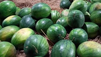 Watermelon that is ripe and ready to sell photo