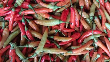 Fresh red chilies photo