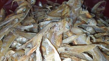 Various types of small fish are sold in traditional market photo