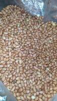 Peanuts for sale in Indonesian traditional market photo