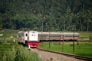 View of the train from afar moving photo