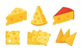cheese parts and slices vector