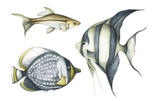 acuarela ilustración de tropical pez. vector