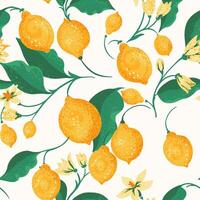 Tropical seamless pattern with yellow lemons on branch, green leaves on a white background. hand drawing. Abstract artistic summer fruits citrus illustration for printing. Ornament repeated vector