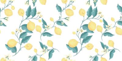 Blooming yellow lemons, on branch with leaves and buds flowers intertwined in a seamless pattern. hand drawing. Abstract artistic citrus fruit repeated printing on a white background. vector