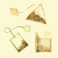 Set of tea bags. Pyramid-shaped, square, open tea bag. Watercolor illustration. All elements are hand-painted with watercolors. Suitable for printing on fabric and paper, textiles, kitchen vector
