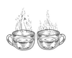 Two glass Cups with hot Tea. outline illustration. Drink in transparent mug sketch drawing. Water with steam black line art. Clipart for vintage prints and logos of coffee shops and cafes vector