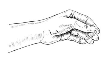 Hand outline illustration. Easy to insert object in palm, finger on isolated separate layer. Graphic clipart of human body part. Woman arm black line art. Drawing on white background vector