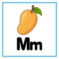 fresh mango alphabet m illustration vector