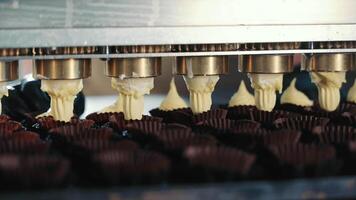 Automatic filling of cupcake molds with dough. The concept of making confectionery, cookies, goodies, cupcakes. Close up video