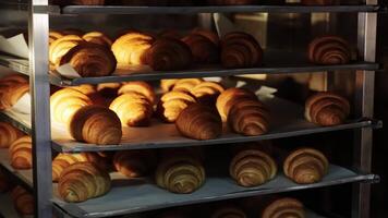 Baked croissants in the oven at the bakery. The concept of making croissants. Close up. video