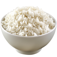 fechar-se tiro do tigela preenchidas com branco arroz png