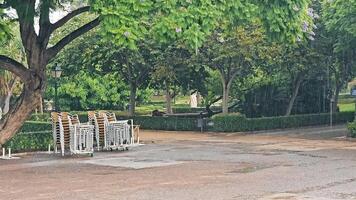 The beginning of the rainy season. Rainy day in the park without people. A heavy rainy day. video