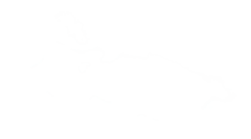 vit fluffig moln, abstrakt mjuk enda dimma eller dis, natur element för fyra säsong vår sommar höst vinter landskap design png