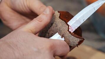 Peeling a root vegetable with a beetroot, Close-up of hands cleaning beets with a knife video