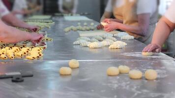 meerdere vrouw handen bereiden koekjes met aardbei vulling en bagels in een bakkerij. divers koekjes zijn bereid van de deeg door vrouwen handen. dichtbij omhoog video