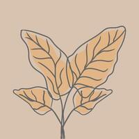 Line Drawing of a Leafy Plant vector