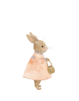 Aquarell Hase, Wald Aquarell Tier png