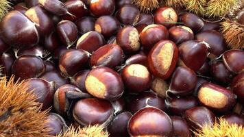 castagne come sfondo video