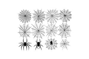 Collection of Spider Webs and Spider Illustrations vector