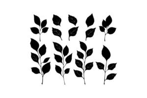 Silhouette of Leaves and Branches Collection vector