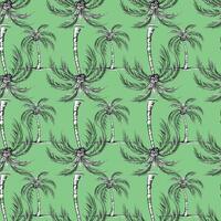 Palm Trees In Vietnam Seamless Pattern Design vector