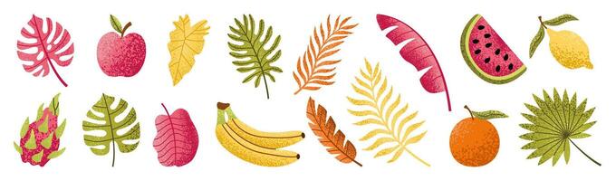 Set of hand drawn tropical leaves and fruits. Palm, banana leaf, monstera, orange, lemon, apple, dragon fruit. Exotic plants. Summer design elements. Botanical illustration. vector