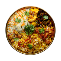 indio tradicional Biryani plato en transparente antecedentes png