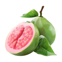 Rosa Guave Obst auf transparent Hintergrund png