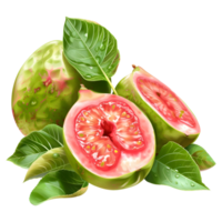 Rosa Guave Obst auf transparent Hintergrund png