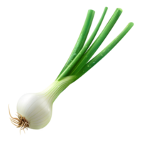 White Onion Plant on Transparent Background png