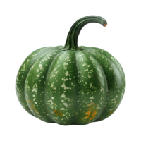 citrouille verte sur fond transparent png