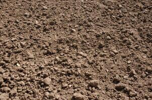 Ploughed land without grass close-up photo
