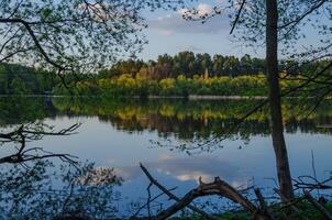 Beautiful landscape of the lake through the branches of trees with the reflection of the forest in the water photo