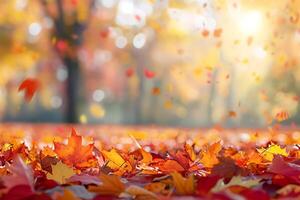 Defocused colorful bright autumn ultra wide panoramic background with blurry red yellow and orange autumn leaves in the park photo