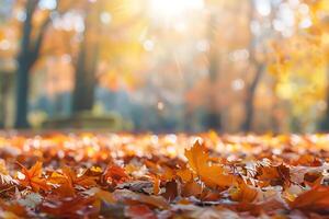 Defocused colorful bright autumn ultra wide panoramic background with blurry red yellow and orange autumn leaves in the park photo