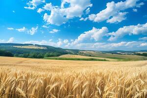 hermosa verano rural natural paisaje con maduro trigo campos, azul cielo con nubes en calentar día. panorámico ver de espacioso montañoso zona foto