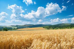 hermosa verano rural natural paisaje con maduro trigo campos, azul cielo con nubes en calentar día. panorámico ver de espacioso montañoso zona foto