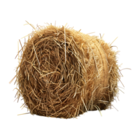 Yellow Hay Stack on Transparent Background png