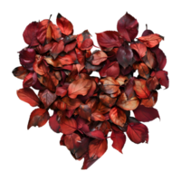 Beautiful Heart Made with Leaves on Transparent Background png